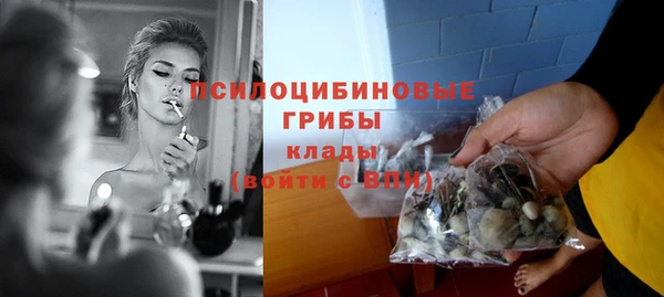 PSILOCYBIN Абаза