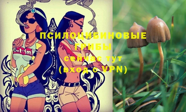 PSILOCYBIN Абаза
