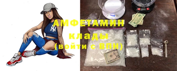 крисы Алзамай
